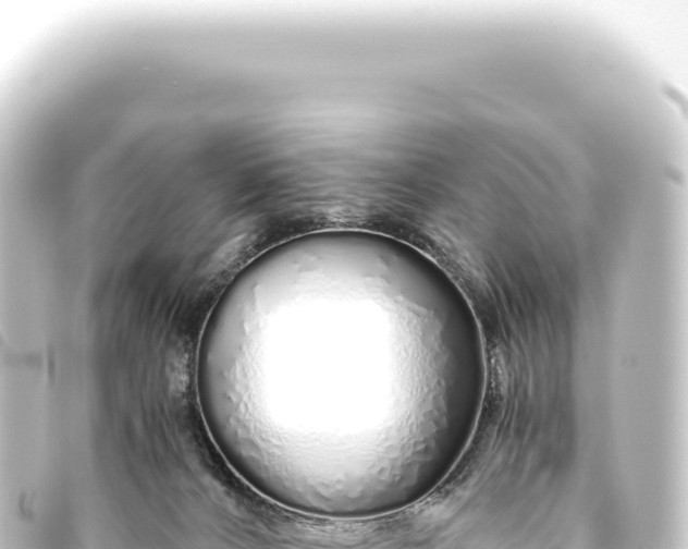 X0000093770032200710301214