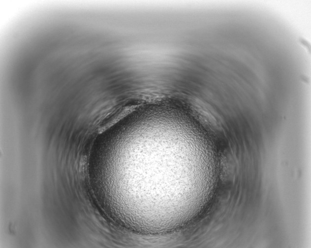 X0000093770034200710301214