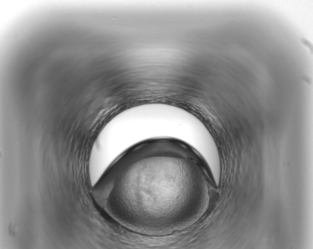 X0000093770035200710301214