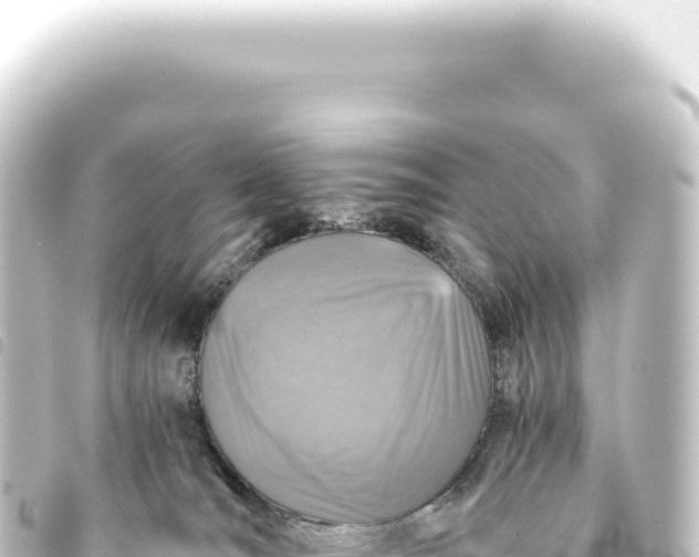 X0000093770036200710301214