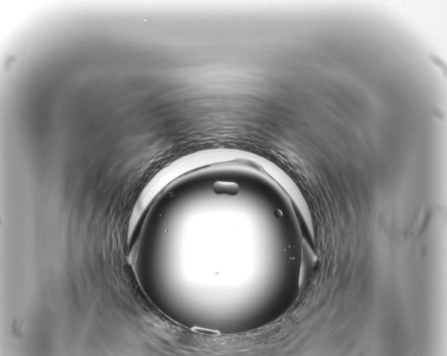 X0000093770037200710301214