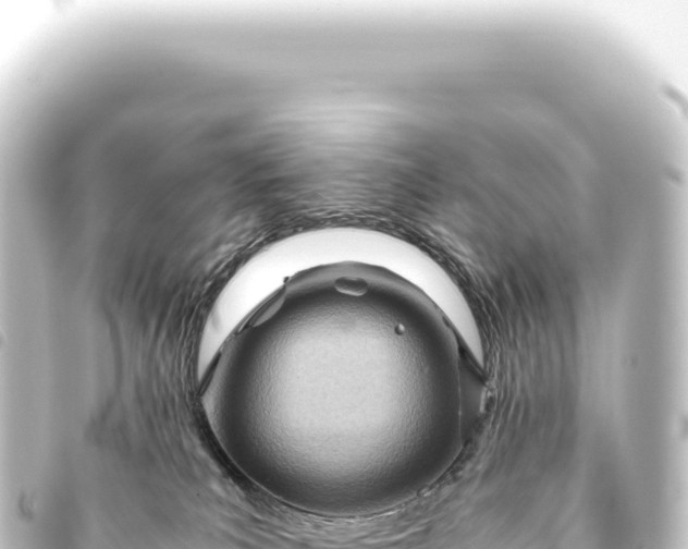 X0000093770039200710301214