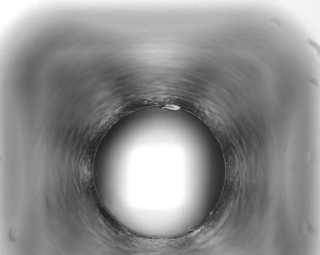 X0000093770040200710301214