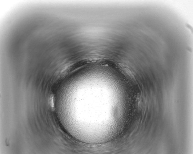 X0000093770042200710301214