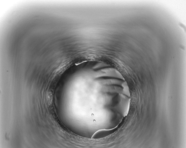 X0000093770043200710301214