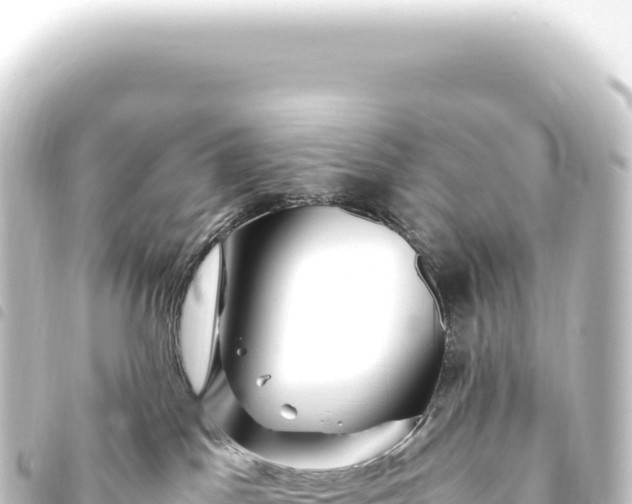 X0000093770045200710301214