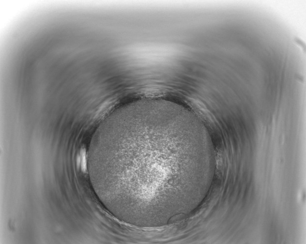 X0000093770046200710301214