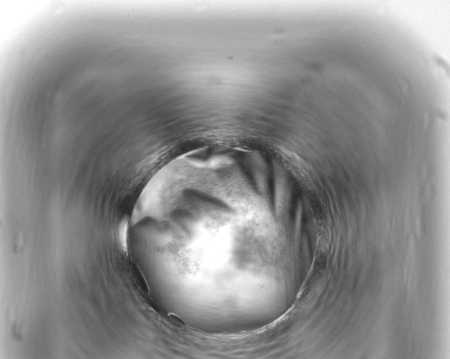 X0000093770047200710301214