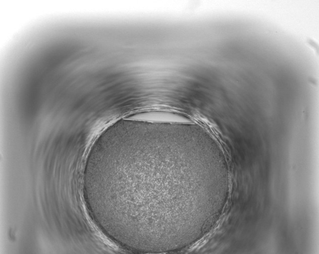 X0000093770049200710301213