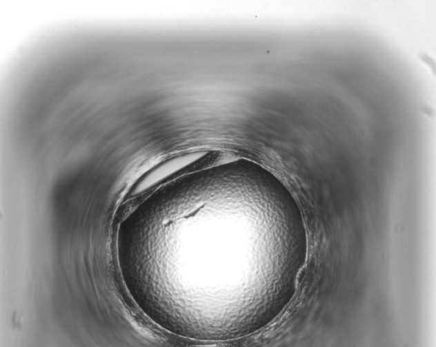 X0000093770050200710301213