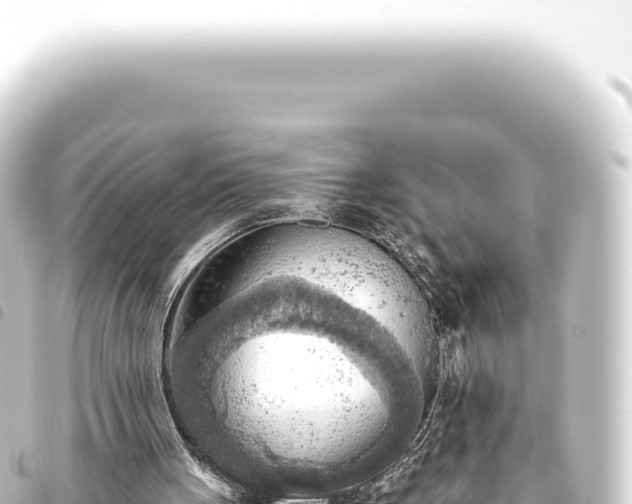 X0000093770051200710301213