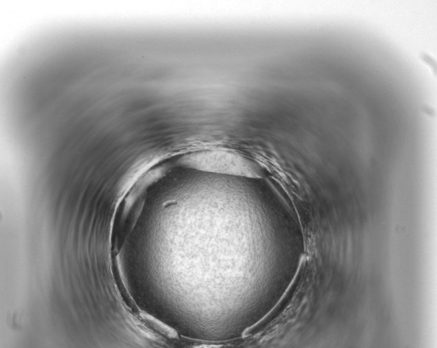 X0000093770052200710301213