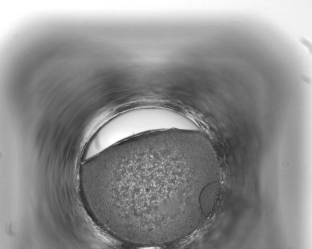 X0000093770053200710301213