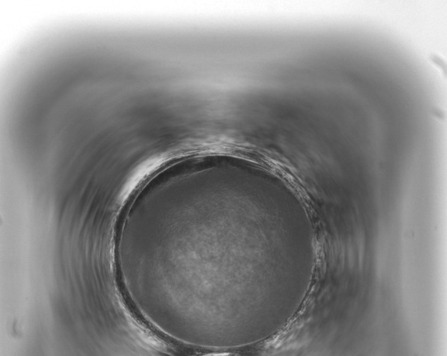 X0000093770054200710301213