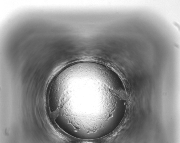 X0000093770055200710301213