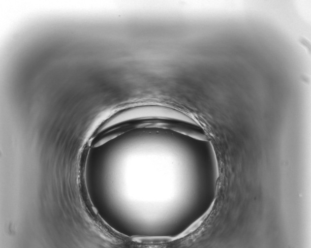 X0000093770056200710301214