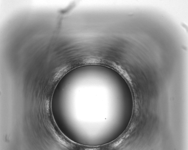 X0000093770057200710301214