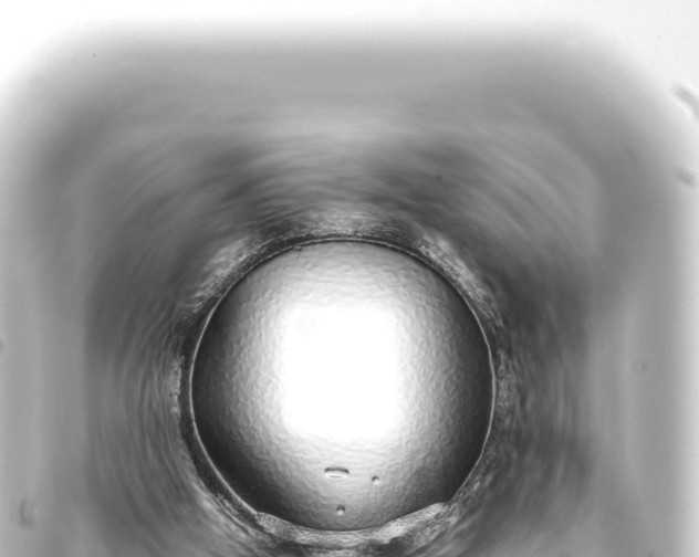 X0000093770058200710301214