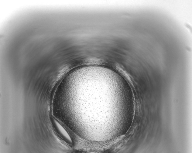 X0000093770059200710301214