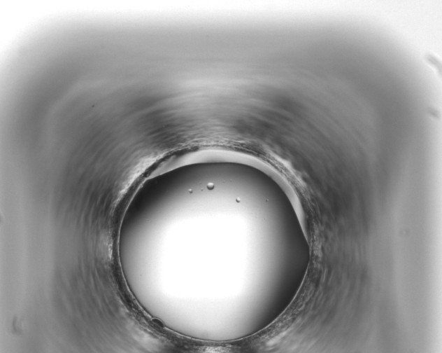 X0000093770060200710301214