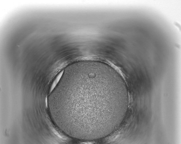 X0000093770061200710301214