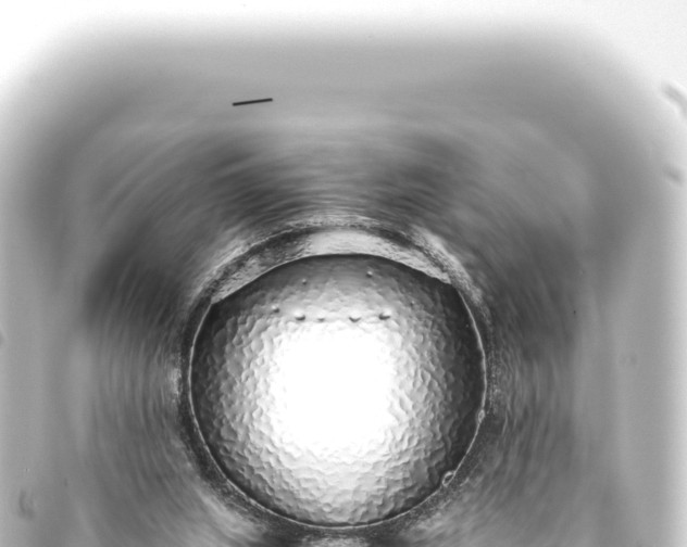 X0000093770063200710301214