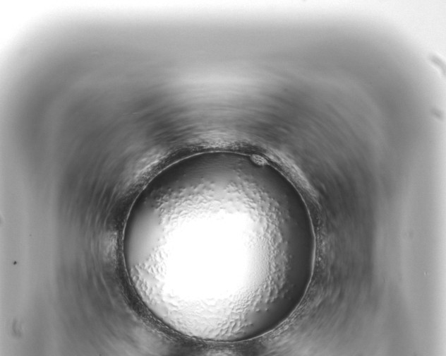 X0000093770066200710301214