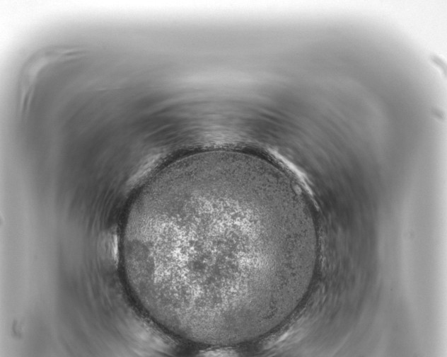 X0000093770067200710301214