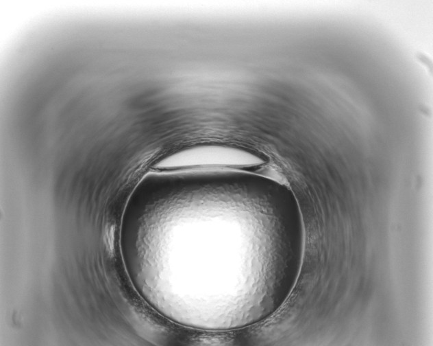 X0000093770070200710301214