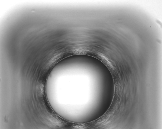 X0000093770071200710301214