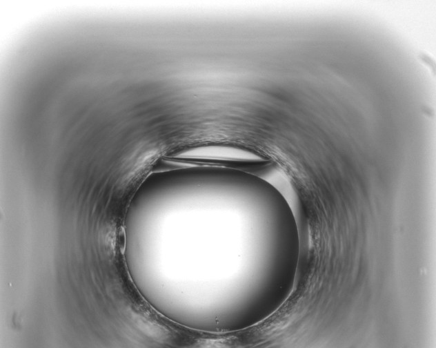 X0000093770072200710301214