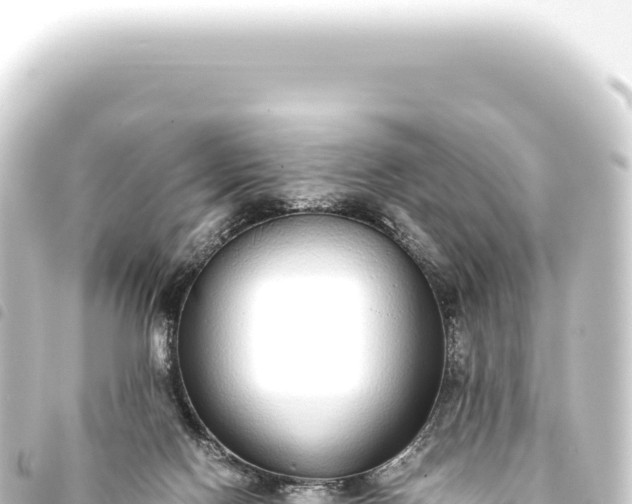 X0000093770074200710301214