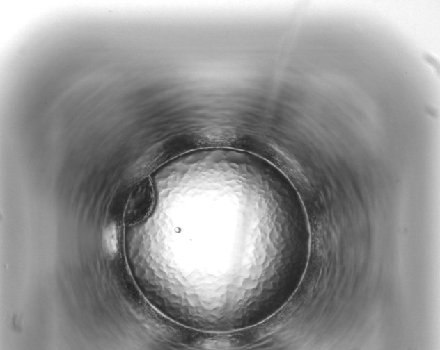 X0000093770075200710301214