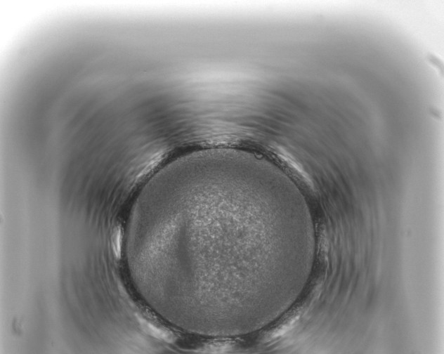 X0000093770076200710301214