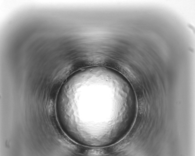 X0000093770077200710301214