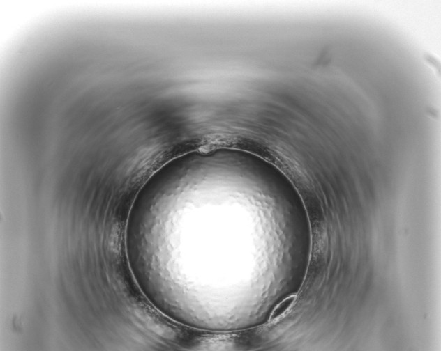 X0000093770078200710301214