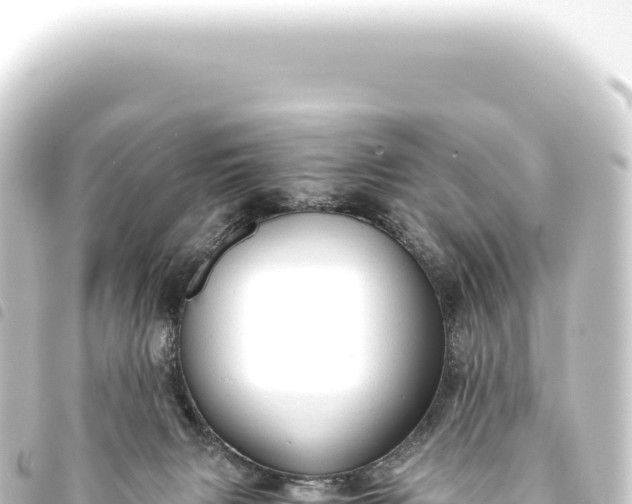 X0000093770079200710301214