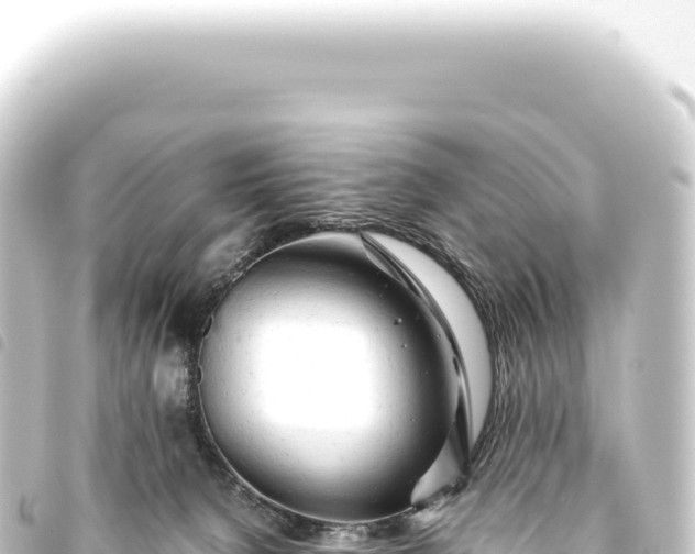 X0000093770080200710301214