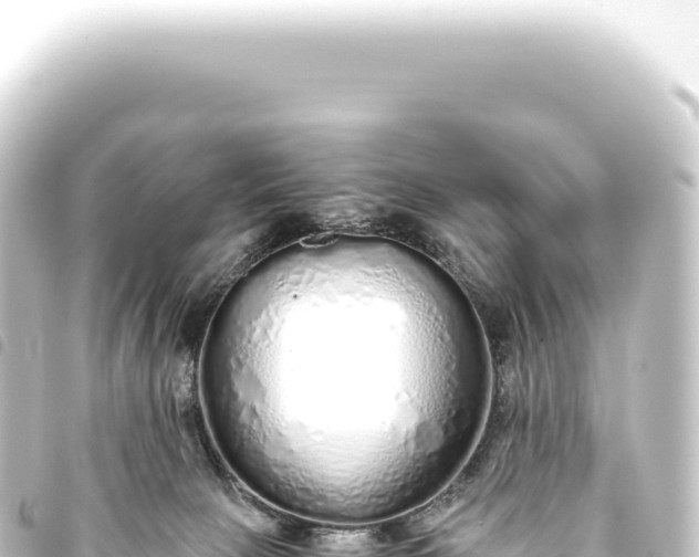 X0000093770081200710301214