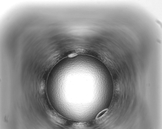 X0000093770082200710301214