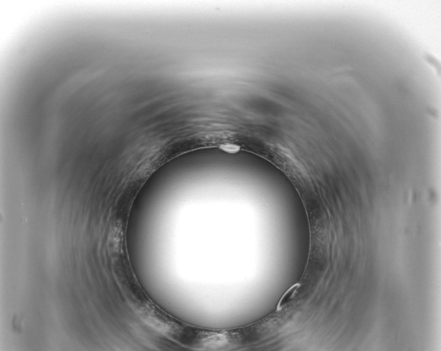 X0000093770083200710301214