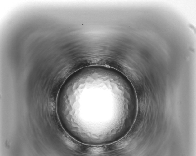 X0000093770085200710301214