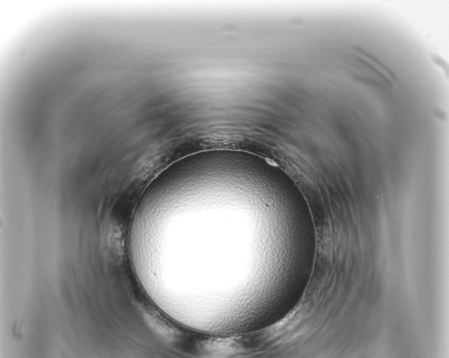 X0000093770086200710301214