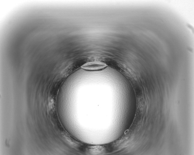 X0000093770087200710301214