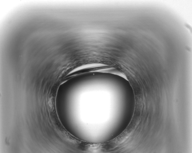 X0000093770088200710301214