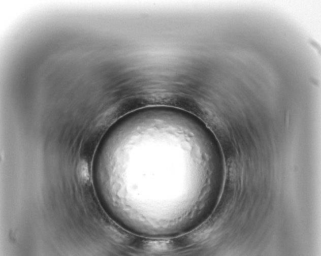 X0000093770089200710301214