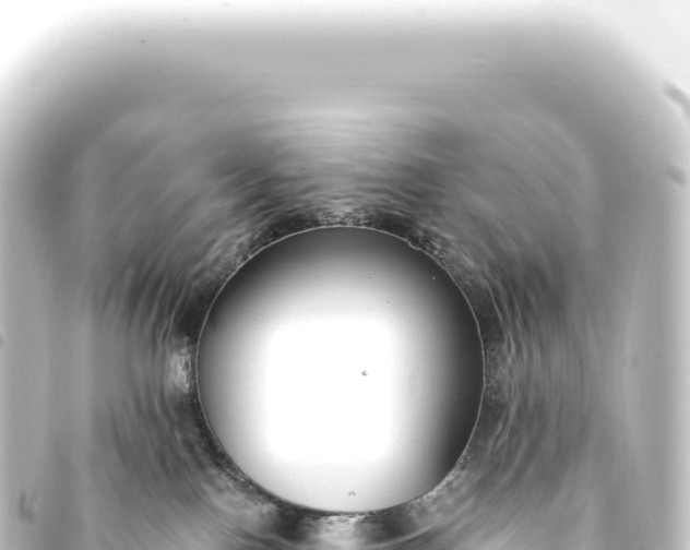 X0000093770090200710301214