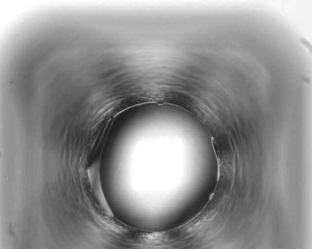 X0000093770092200710301214