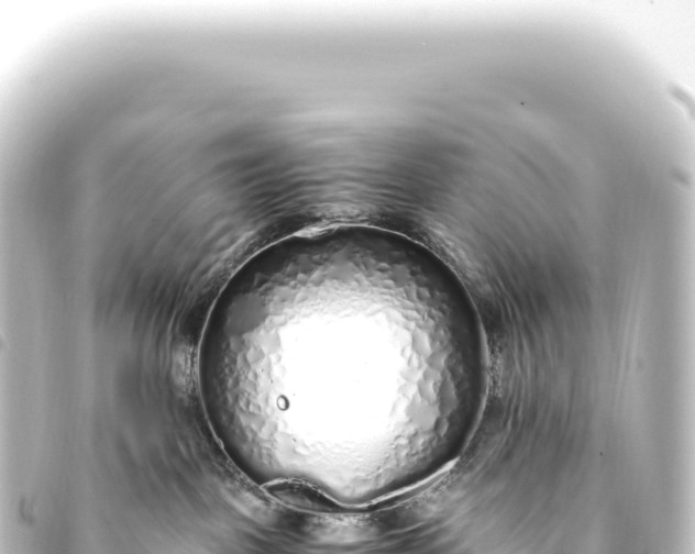 X0000093770093200710301214