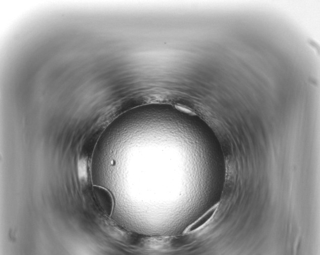 X0000093770094200710301214